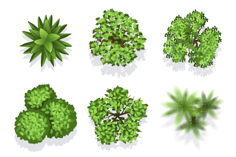 top-view-different-plants-and-trees-vector-set-for-architectural-or-la