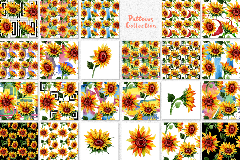 sunflower-png-watercolor-flower-set