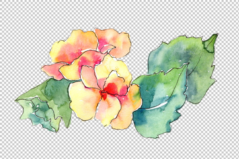 watercolor-gardenia-wildflower-png-set