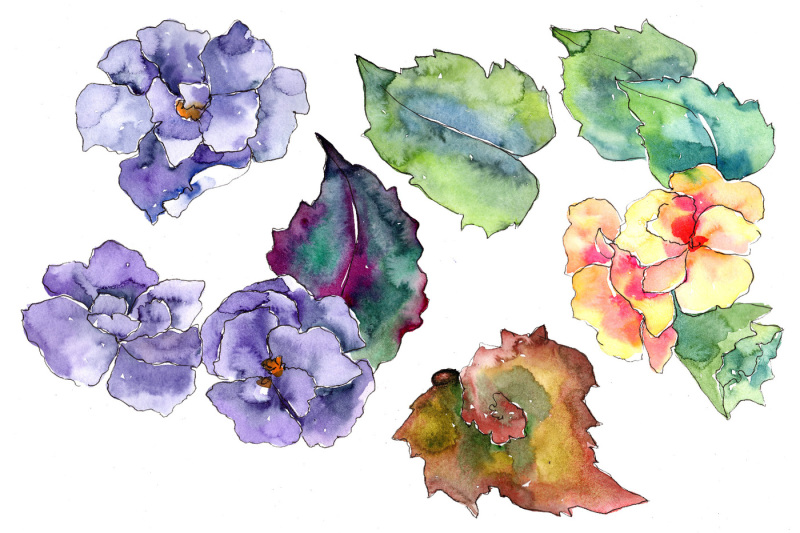 watercolor-gardenia-wildflower-png-set