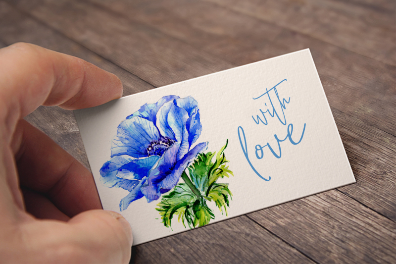 wonderful-blue-anemone-png-watercolor-set-nbsp