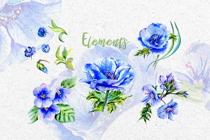 wonderful-blue-anemone-png-watercolor-set-nbsp