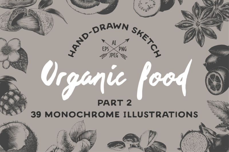 set-of-39-organic-food-objects