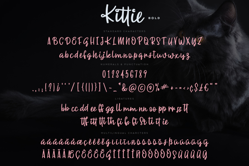 kittie-regular-amp-bold