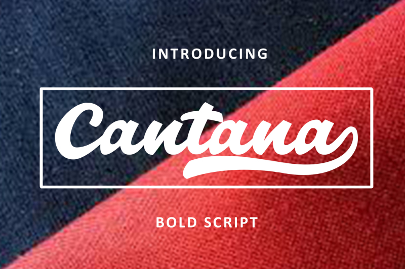 cantana-bold-script