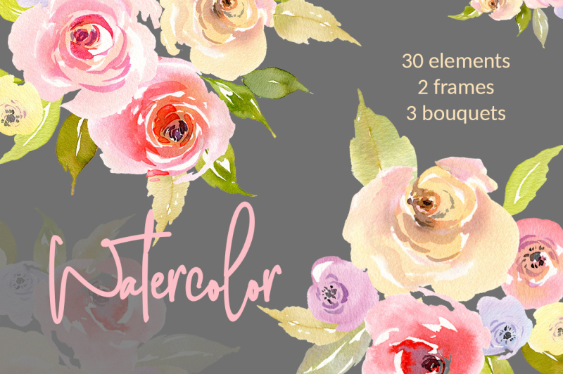 watercolor-roses-flowers-bouquets-frames-png