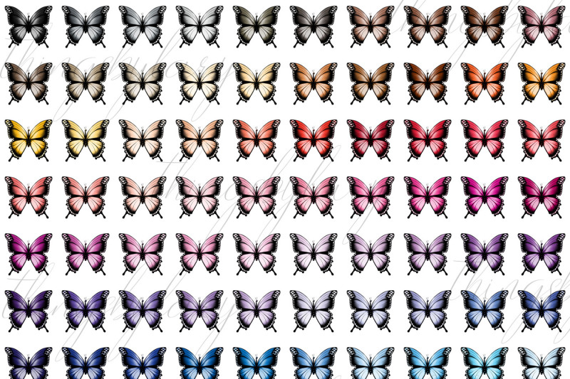 100-vivid-color-luxury-butterfly-clip-arts-romantic-clipart