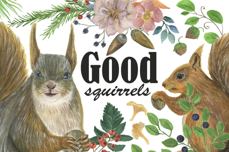 good-squirrels