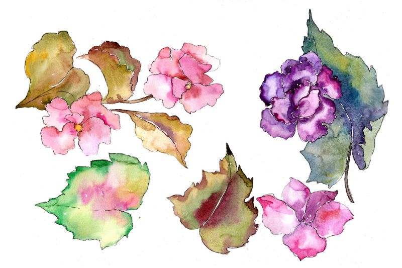 tropical-pink-gardenia-png-watercolor-flower-set