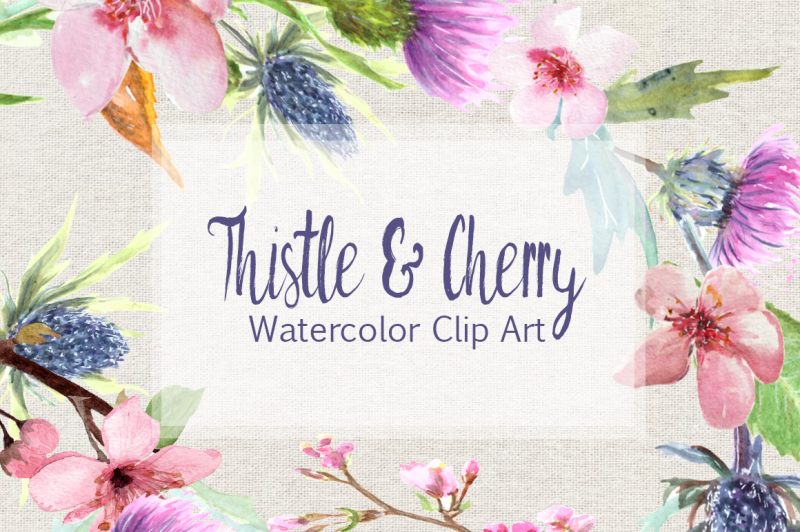 watercolor-thistle-and-cherry-clip-art-set