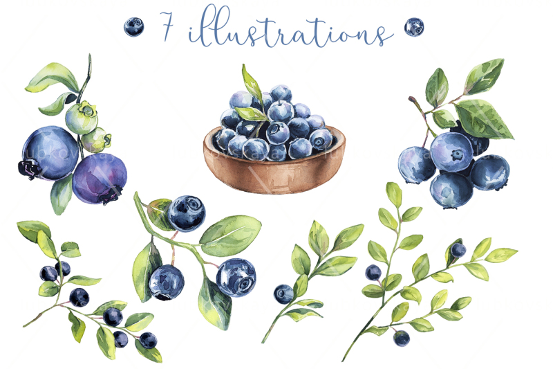 watercolor-clipart-blueberry