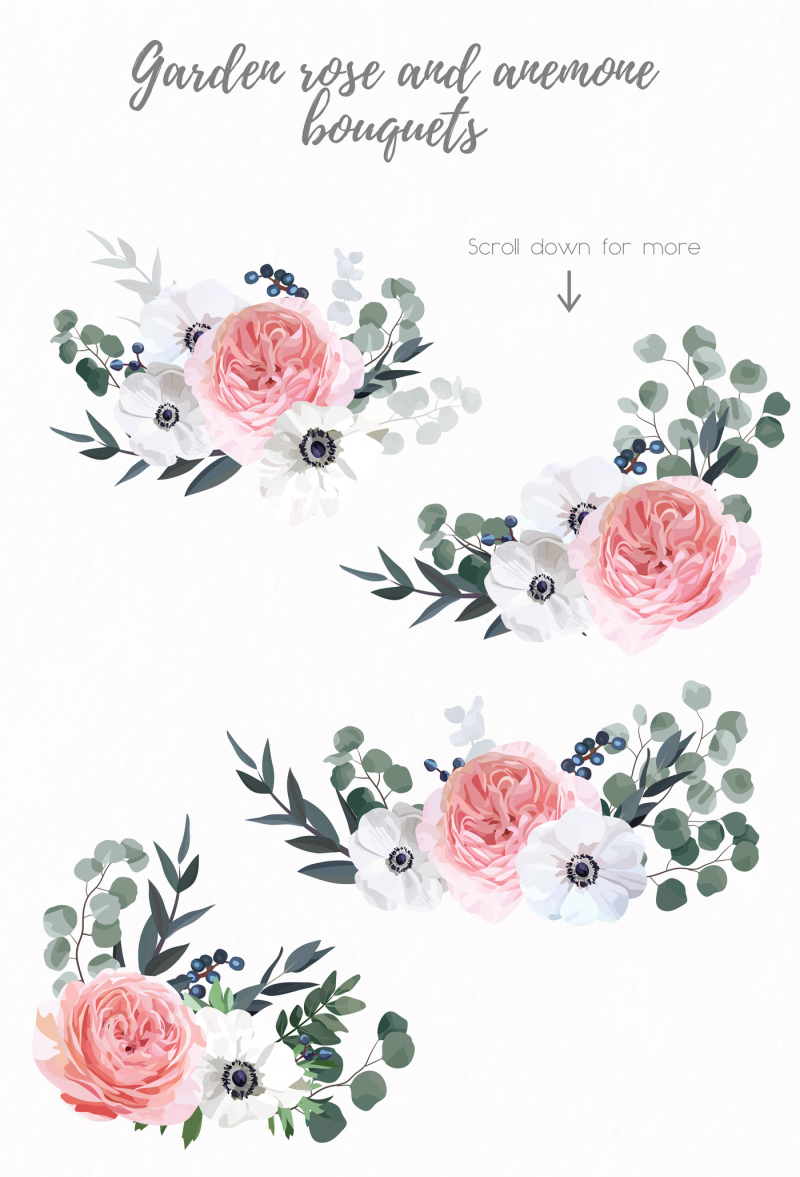 vector-floral-design-set-garden-rose