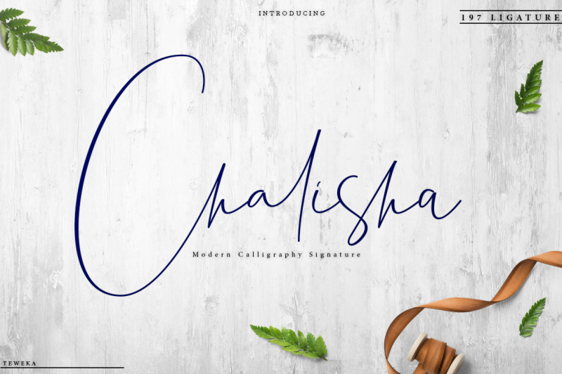 chalisha-modern-calligraphy