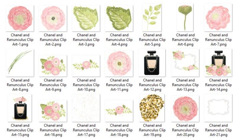 luxury-bags-glitter-dust-and-ranunculus-flower-clip-arts