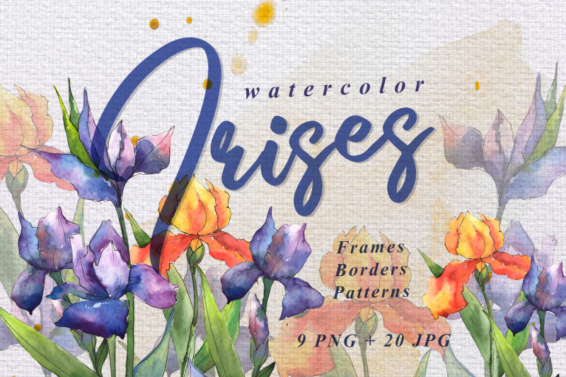 orange-and-purple-irises-png-watercolor-set-nbsp
