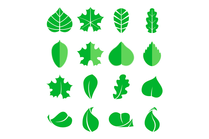 different-leaf-set-vector-icons-design-eco-elements-isolate-on-white