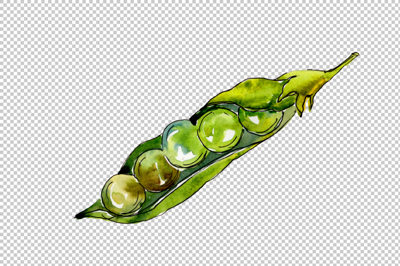 pea-seed-vegetables-png-watercolor-set-nbsp