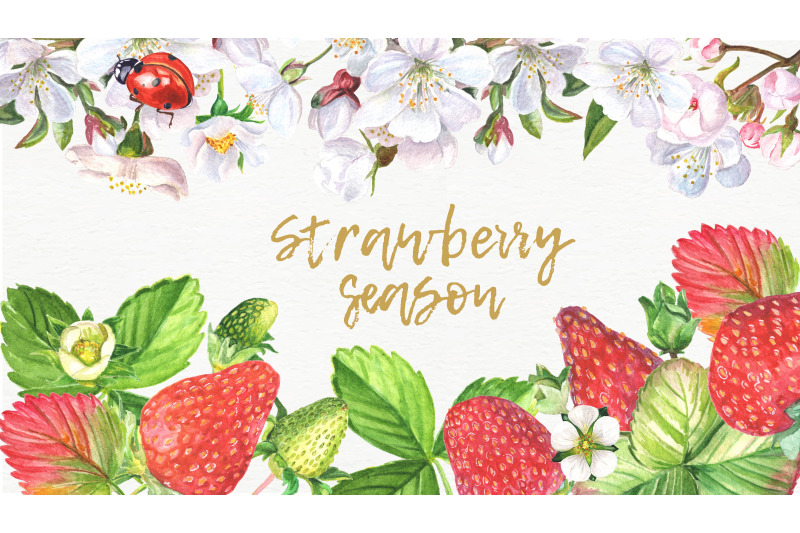 strawberries-and-blossom-flowers-watercolor-botanical-set