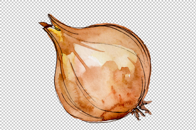 onion-vegetables-png-watercolor-set-nbsp