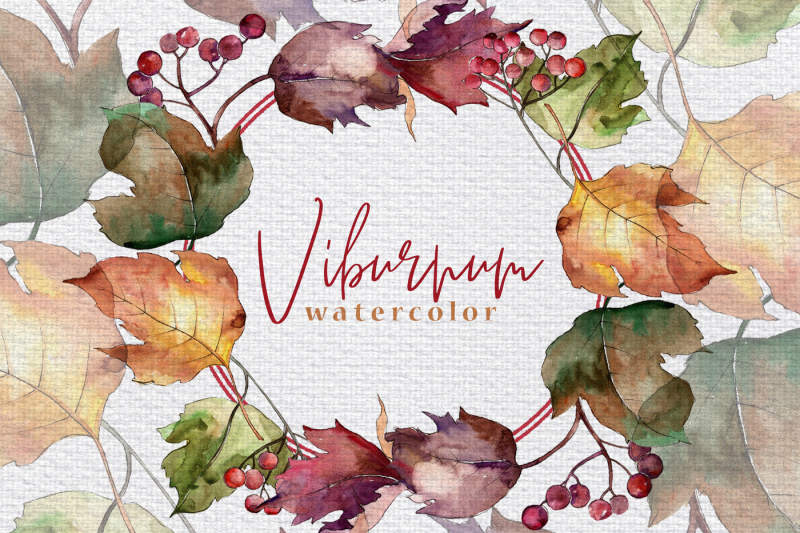 autumn-viburnum-leaves-png-watercolor-set