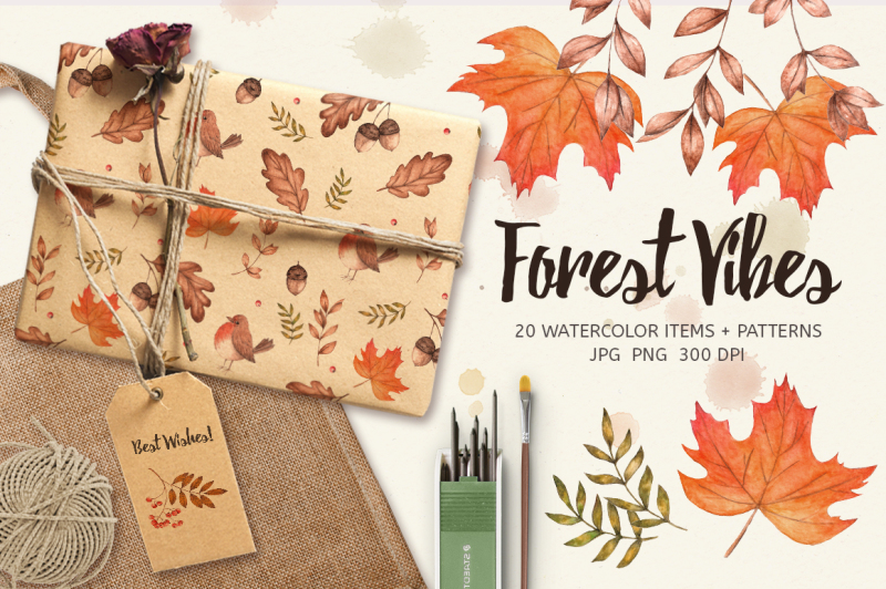 forest-vibes-watercolor-set-20-items-and-6-patterns