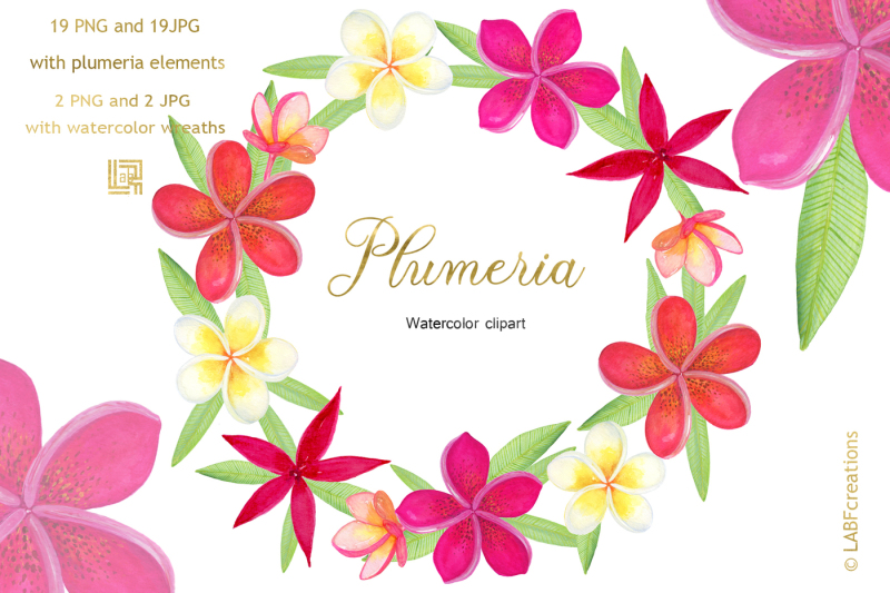 plumeria-tropical-watercolor-flowers