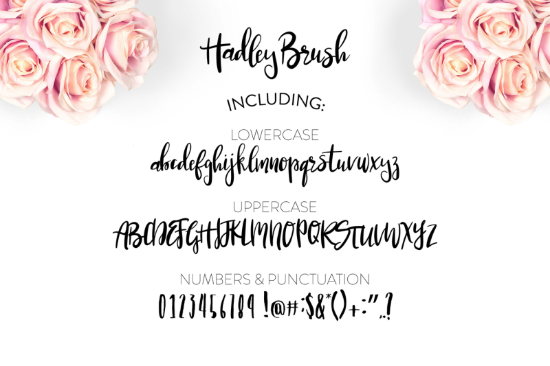 hadley-brush-font