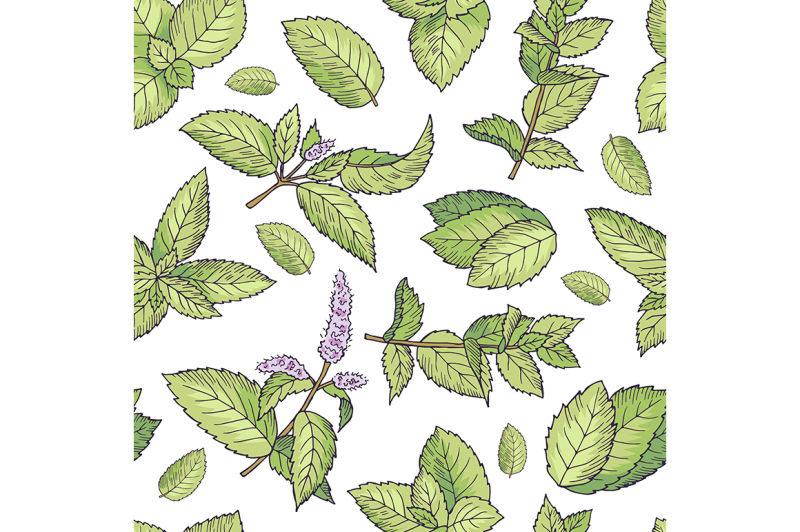 green-leafs-of-fresh-mint