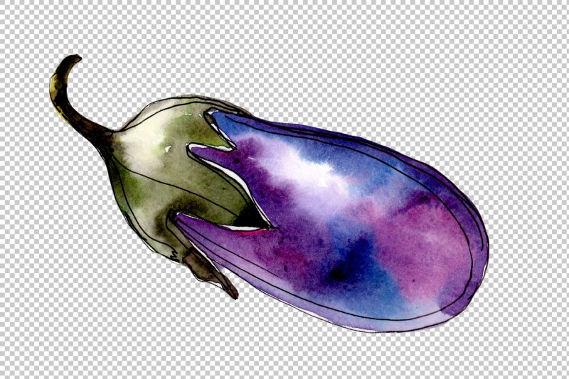 watercolor-purple-eggplant-vegetable-png-set