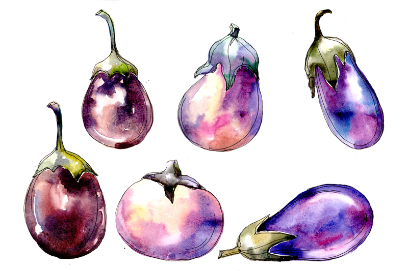 watercolor-purple-eggplant-vegetable-png-set