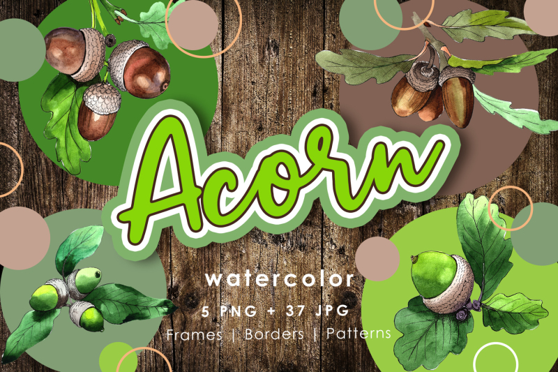 acorn-plant-png-watercolor-set-nbsp