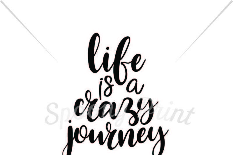 life-is-a-crazy-journey