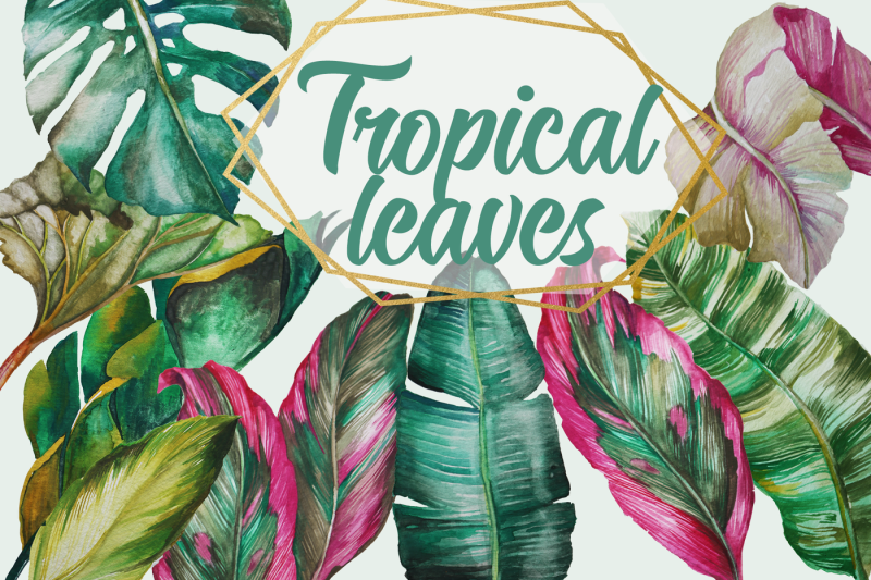 tropical-greenery-tropical-leaves