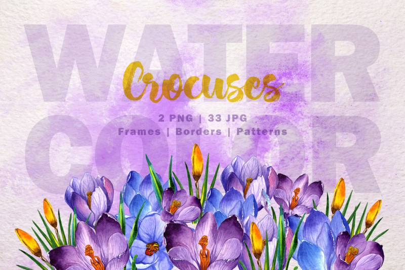blue-and-purple-crocuses-png-watercolor-set
