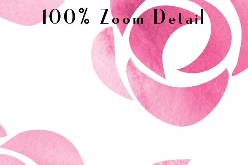 100-seamless-watercolor-hand-drawn-rose-flower-digital-paper