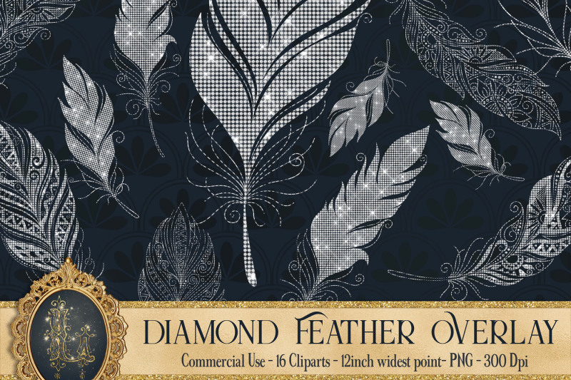 16-diamond-feather-overlay-clip-arts-boho-feather-diamond