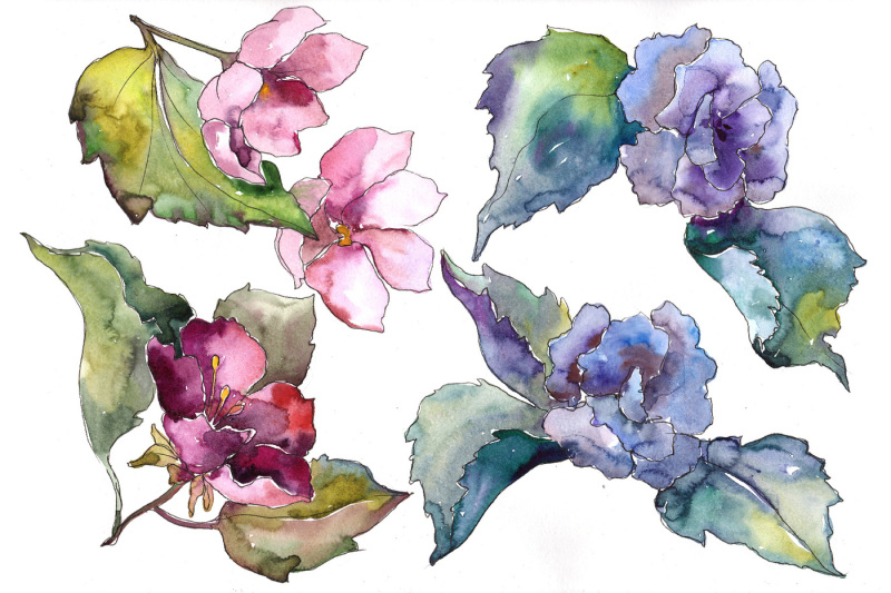 pink-and-blue-gardenia-flowers-png-watercolor-set-nbsp