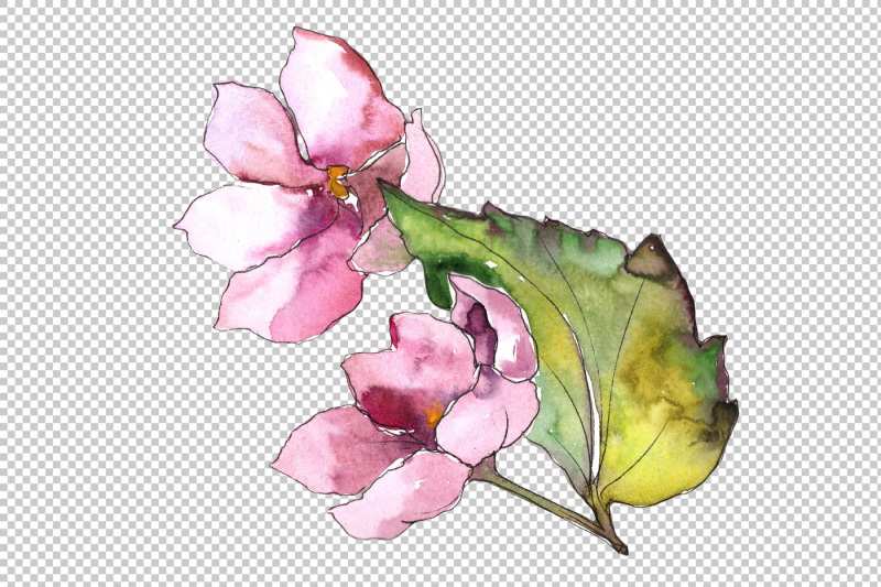 pink-and-blue-gardenia-flowers-png-watercolor-set-nbsp