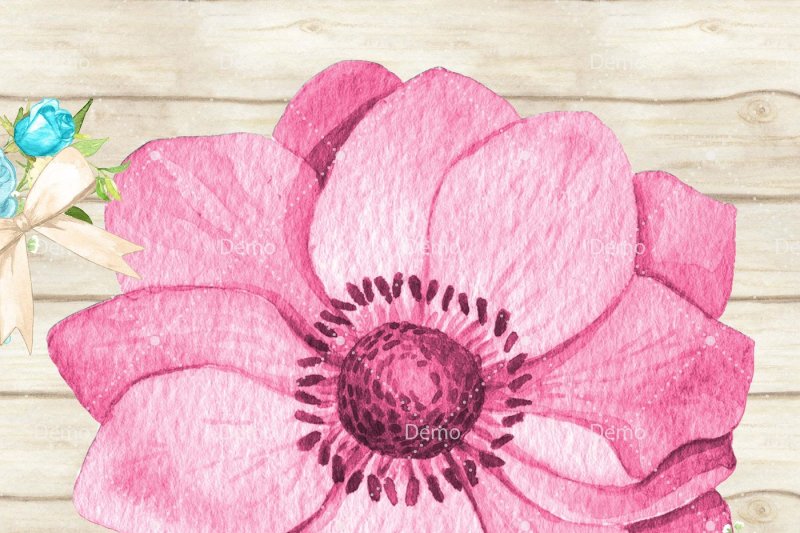 100-watercolor-anemone-flower-clip-arts-botanical-garden