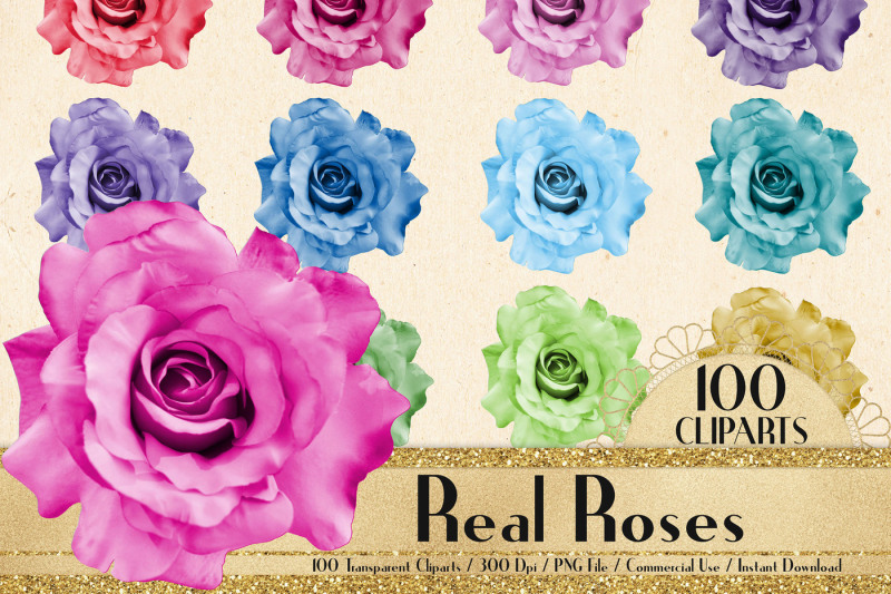 100-real-roses-clip-arts-romantic-valentine-scrapbook