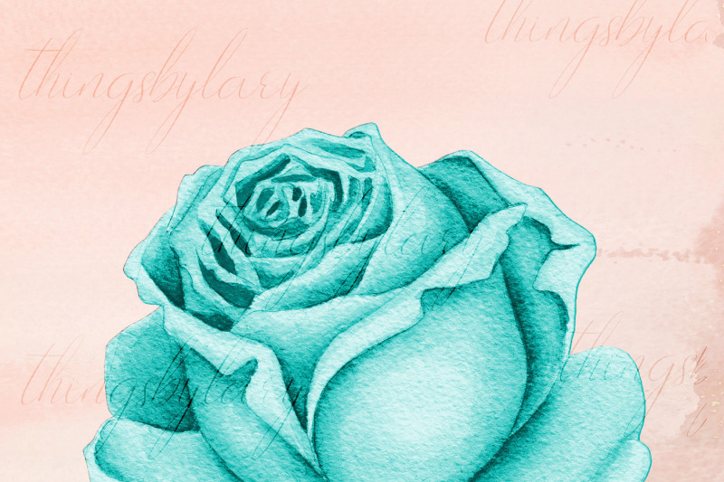 100-watercolor-roses-clip-arts-romantic-valentine-scrapbook