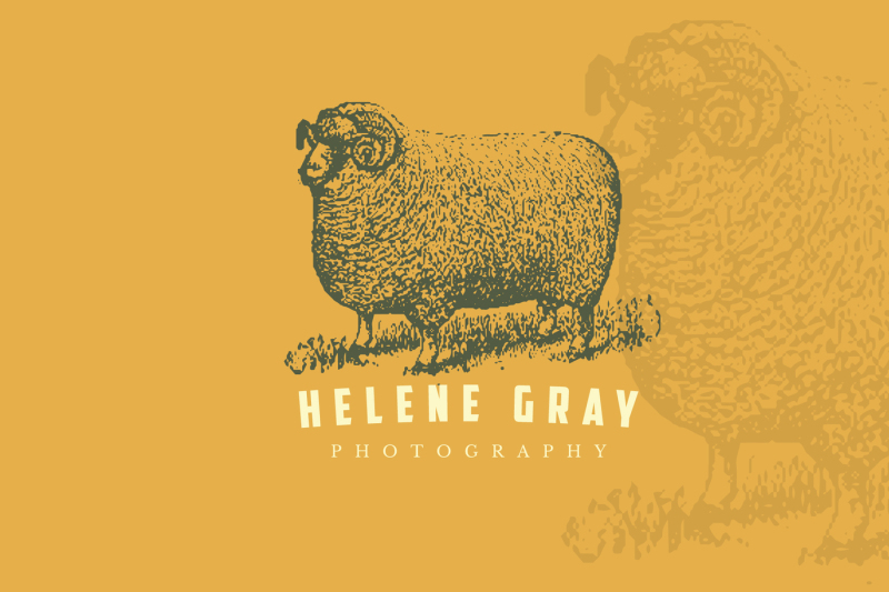sheep-vintage-logo-business-card