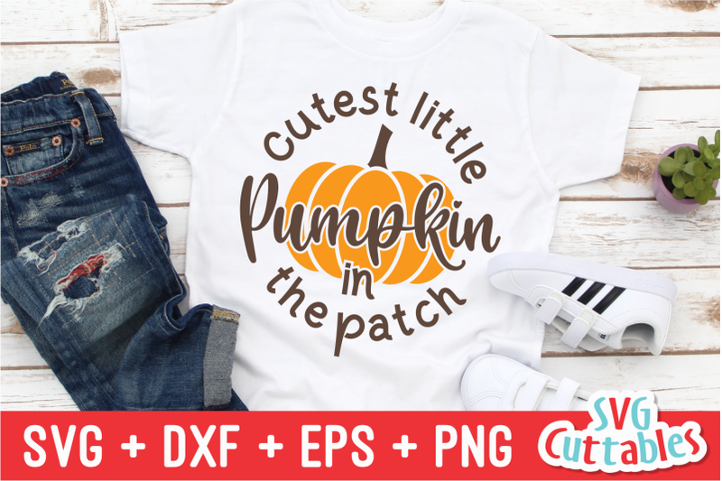 cutest-little-pumpkin-in-the-patch