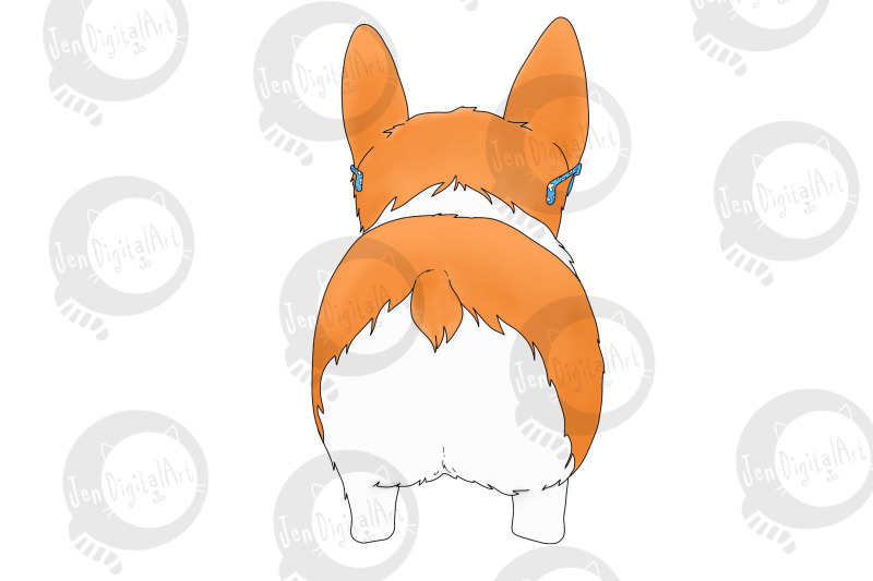 corgi-dog-with-glasses-front-and-rear-view-png-jpeg