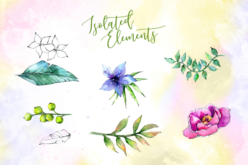 wonderful-tropical-plant-png-watercolor-set