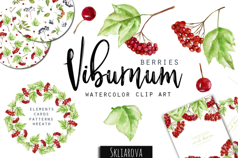 viburnum-watercolor-clip-art