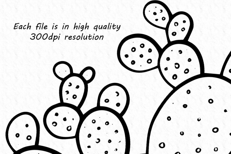 doodle-cactus-clipart