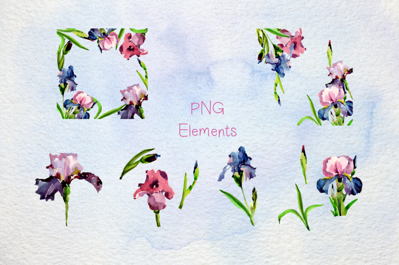 tender-irises-png-watercolor-set