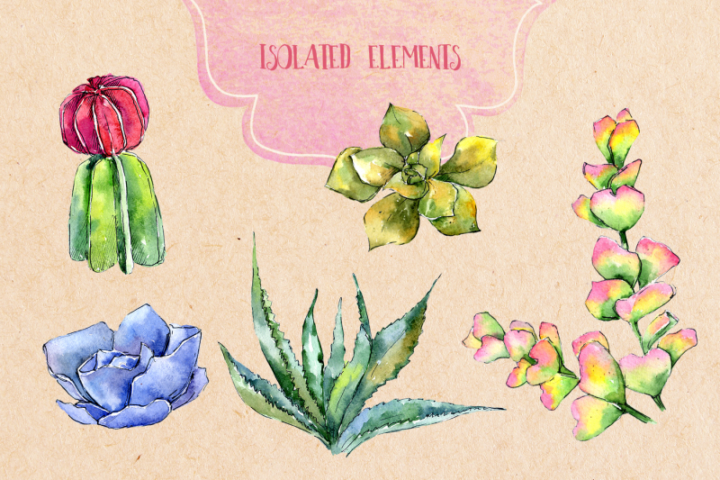 succulents-png-watercolor-set-nbsp