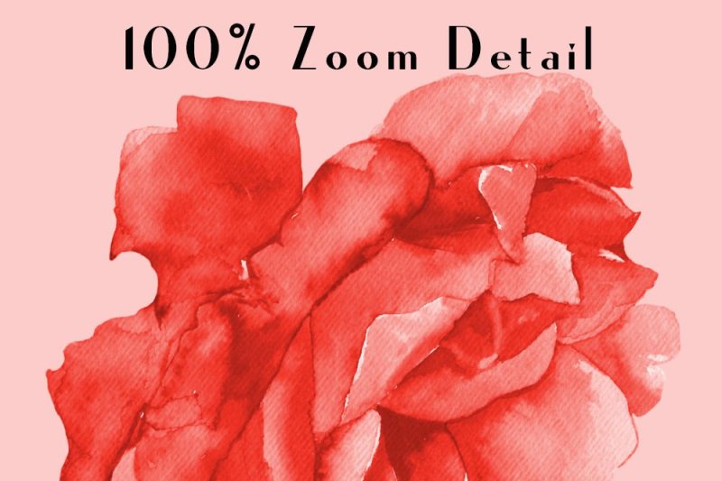 100-seamless-wedding-watercolor-rose-flower-digital-papers